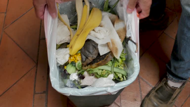Trusted Marbleton, WY Junk Removal Services Experts